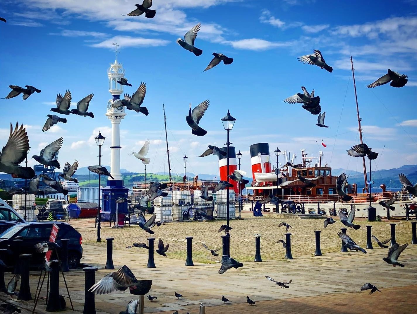 Custom House Pigeons Scottish Landscape Photography